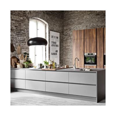 China Customized Size Modern Matte Designs Classic Kitchen Cabinets for Modern Design Style for sale