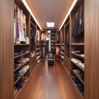 China Wooden Modern Style Glass Wardrobe Closet for Walk-in Closet Furniture Customization for sale