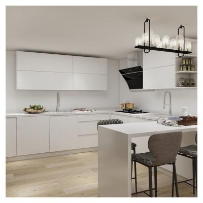 China Modern Style Full Durable Matt Simple Kitchen Cabinet Designs Lacquer Door Treatment for sale