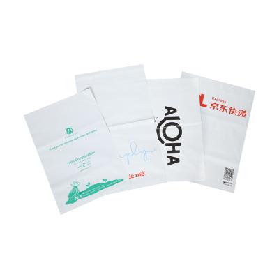 China 100% Biodegradable Color Biodegradable Poly Size Chart Ad Bag With Seal Strong Adhesive Pe Self White Bags Puncture Resistant Poly Ads for sale