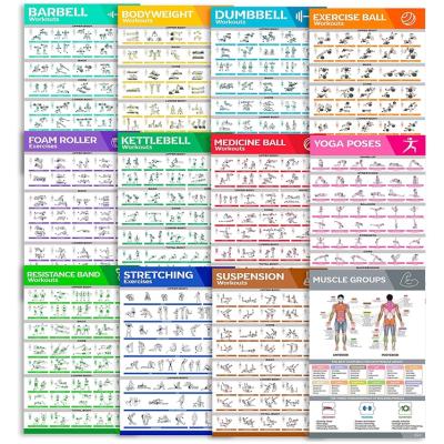 China Newest Design Resistance Band Teaching Workout Most Popular Muscular Skeletal System Custom A0 Posters Set In The Gym for sale