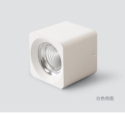 China Square COB LED Outdoor Mounted Downlight 10W 20W 30W 40W White Anthracnose Modern Simple Modern For Corridor Hotel Home Shop for sale