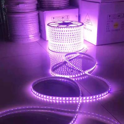 China Garden Landscape Home SMD5730 120 LED Two Line Double Colors Outdoor LED Rope Light Christmas Waterproof WW+WH WW+BLUE Colors Flexible Strip Light for sale