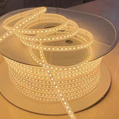 China LANDSCAPE Indoor Outdoor Light Solid Silicon 24V Waterproof Flexible Led Strip Lights Waterproof IP68 5050 60leds Rope Lights for Supermarket KTV Home Hotel RGB Colors for sale