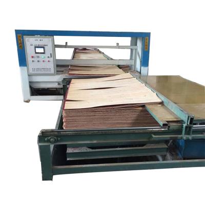 China Woodworking Machinery Plywood Veneer Mattress Paving Conveyor And Cross Cutter Machine for sale