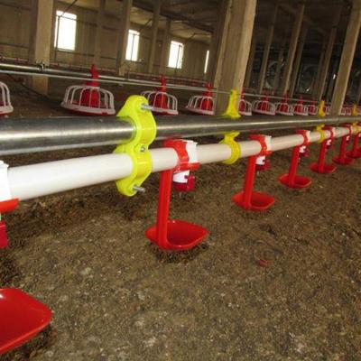 China Poultry Farm Chicken Poultry Farming Feeding Equipment Complete Automatic Broiler Feeding And Drinking Line for sale