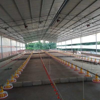 China Poultry farm chicken feeder chicken farm full set with silo labor hopper pan drinking line feeding line for sale