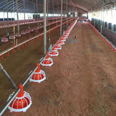 China Poultry Farm Chicken Feed Floor Chicken Feed Whole Farm Poultry Automatic Feeding System for sale