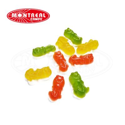 China Natural Candy Halal Gummy Candy In Bulk With Animal Shape for sale