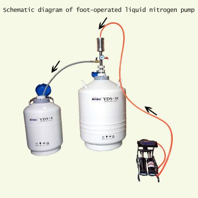 China liquid nitrogen dispenser electric pump ZYB liquid nitrogen withdrawal device with liquid nitrogen hose for sale