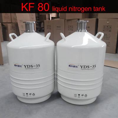 China Restaurant Automotive Bearings Cryogenic Treatment with YDS Liquid Nitrogen Tank 5KG for sale