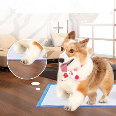 China Sustainable Hot Sale Pet Training Pad In China for sale