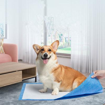 China Viable Leakage High Quality Pet Guard Waterproof Training Products Reliable Quality for sale