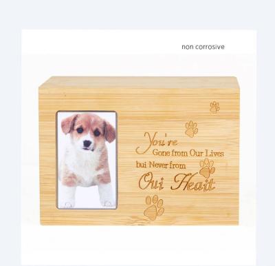 China High Quality Sustainable Pet Cardboard Coffin Reliable Quality for sale