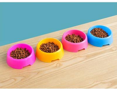 China Sustainable Hot Selling Food Bowl Plastic Pet Bowl Reliable Quality for sale