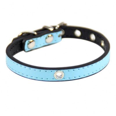 China Customized high quality pet collar divtop in china for sale