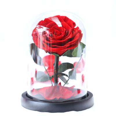 China Factory Price Durable Preserved Flowers Dried Forever Artificial Natural Eternal Immortal Preserved Flowers Roses For Love for sale