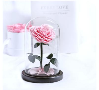 China Lasting Valentine Gifts Preserved Flowers Dried Forever Artificial Natural Eternal Immortal Preserved Flowers Roses For Love for sale