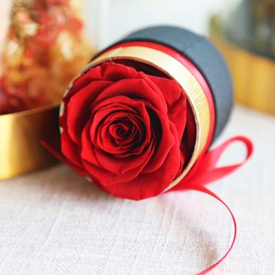 China Lasting Eternal Roses Preserved Flower Valentine Gifts Rose Flower for sale