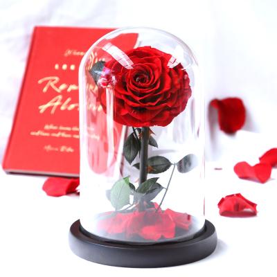 China Hot Lasting Valentine's Gifts Forever Preserved Artificial Natural Eternal Immortal Preserved Flowers Roses For Love for sale