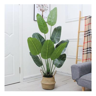 China Variety Realistic Sizes Artificial Green Plant for Home Decor for sale