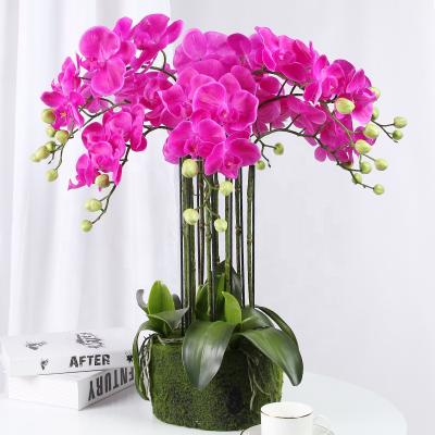 China Durable Artificial Flower For Home Artificial Plant Branch Flower Orchid Phalaenopsis Decor Artificial Plant Orchid for sale