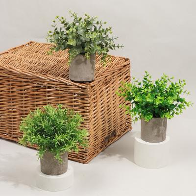 China Realistic Popular Simulation Amazon Potted Plant For Home Decoration for sale