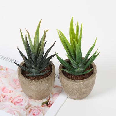 China Realistic High Quality Artificial Gray Potted Mini Aloe Succulent Plants for sale