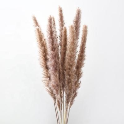 China Customized Real Color Pampas Grass 45cm Durable Dried Reed Artificial Flowers For Wedding Decoration for sale