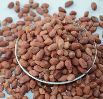 China Agriculture Crop Dried Red Peel Peanut Buyers With Lower Price for sale