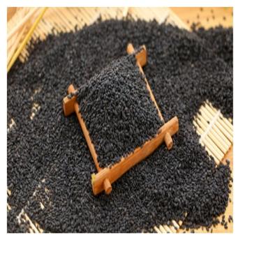 China Goods using low price 100% natural black sesame seeds oil sesame seeds wholesale BSS-7 for sale