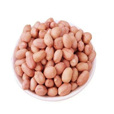 China Wholesale High Quality 100% Natural Peanut Dry Raw Peanut Nuts Without Shell for sale