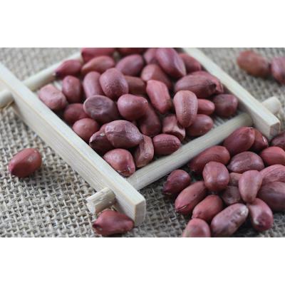 China Wholesale Best Quality Suitable Price Good Quality Cheapest Chinese Peanut Dry Red Skin for sale