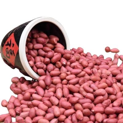 China China Top Quality Dried Shelled Nuts Natural Red Peanuts Organic for sale