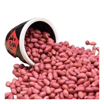 China Low Price Guaranteed Quality Dried Shelled Nuts Natural Red Peanuts Organic for sale