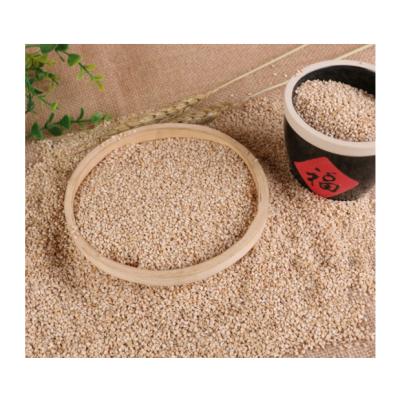 China Non-GMO Preservative Free Natural White Sesame Seeds For Sale WSS-22 for sale