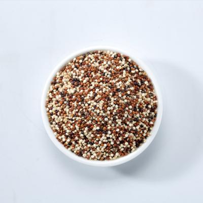 China Dried High Protein Black White Red Quinoa With Mixed Tricolor Quinoa Grain for sale