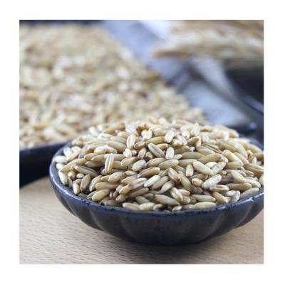 China Best Quality Bare Grain Polluted Unpolluted Restaurant Dry Large Flake Rolled Oats For Sale for sale