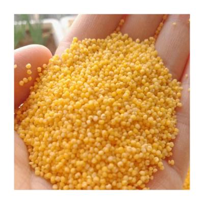 China Promotional Ingredients Good Quality Organic Healthy Groats Dry Yellow Millet for sale