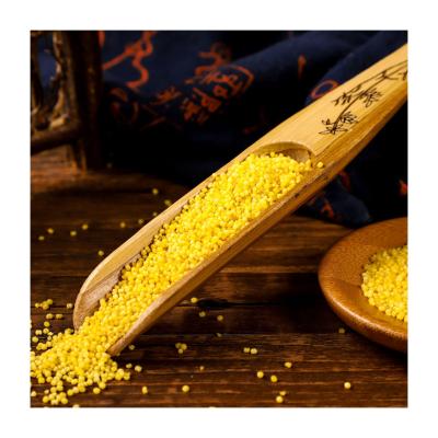 China Various Good Quality Organic Healthy Ingredients Porridge Dried Yellow Millet for sale