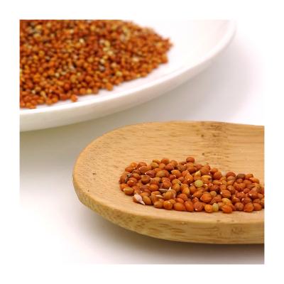 China Dry 2021 Hot Sale High Quality Selected Natural Organic Red Broomcorn Millets for sale