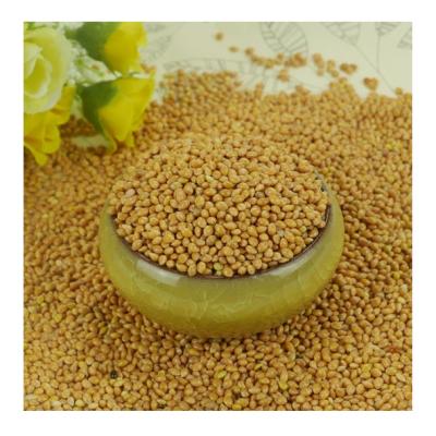 China New Crop Broomcorn Dry Yellow Viscous Italy Millet For Birdseed On Sale for sale