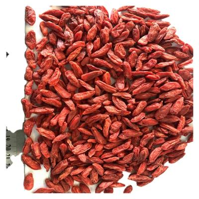 China Dry Top Selling Guaranteed Quality Goji Berry Red Wolfberry Chinese Wolfberry for sale