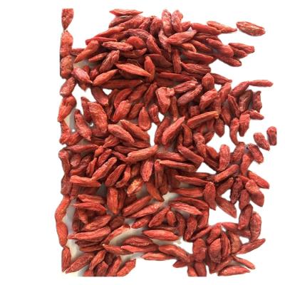 China New Type Dry Goji Berry Benefits Of Goji Berry With Interesting Price for sale