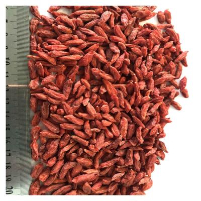 China Promotional Good Quality Dry Goji Berry Benefits Of Goji Berries 1 Kilogram for sale