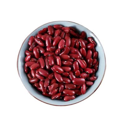 China China made dry top quality raw red dwarf beans 2021 red dwarf beans for sale