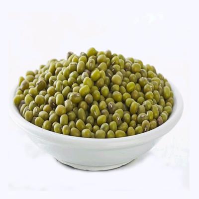 China Dry Germination Grade Green Mung Beans 97% Min Germination Rate for sale