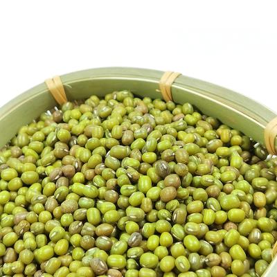 China High quality hot sale mung sprouting dry green beans Moong Dal Dhal for sale