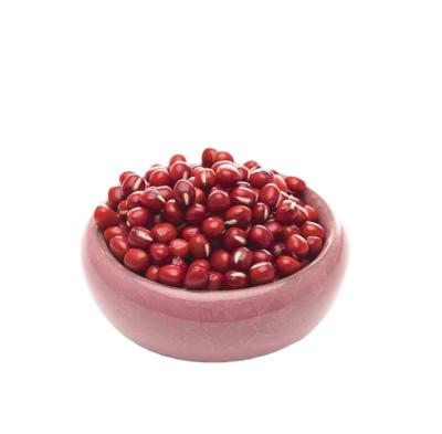 China Professional Manufacture Dried Cheap Dried Raw Beans Adzuki Beans Red Kidney for sale