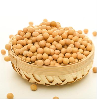 China Cheap Manufacture Soymilk Professional Dry Ground Raw Soybeans Freshly For Breakfast for sale